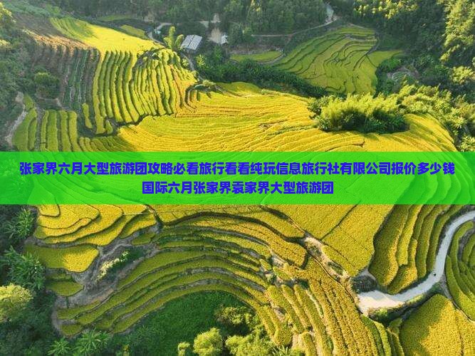 六月去张家界袁家界大型旅游团