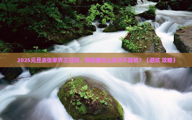 元旦到张家界三日游