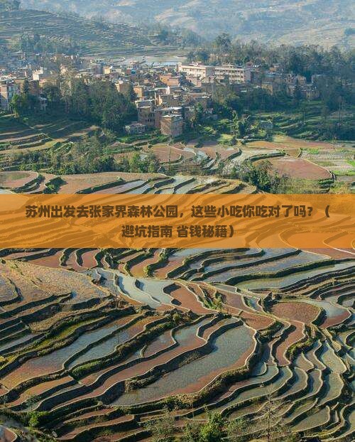 苏州去张家界森林公园旅游小吃