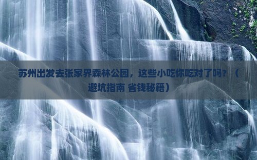 苏州去张家界森林公园旅游小吃
