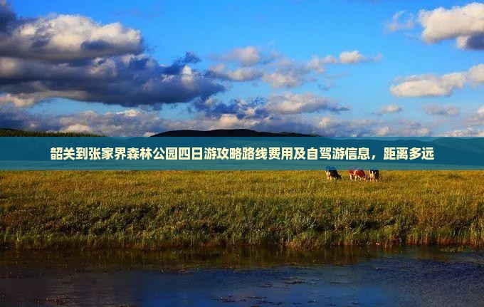 韶关到张家界森林公园四日游