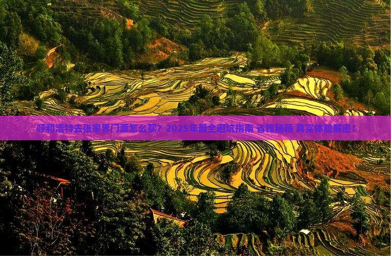 呼和浩特去张家界门票