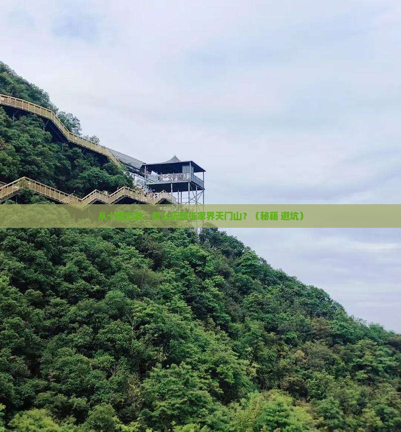 十堰去张家界天门山景点