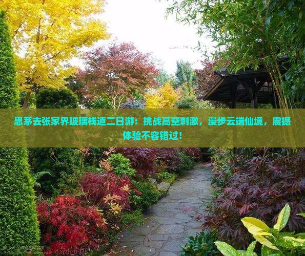 思茅去张家界玻璃栈道二日游