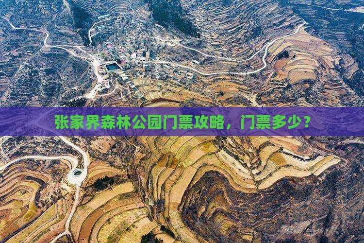 海北去张家界森林公园门票