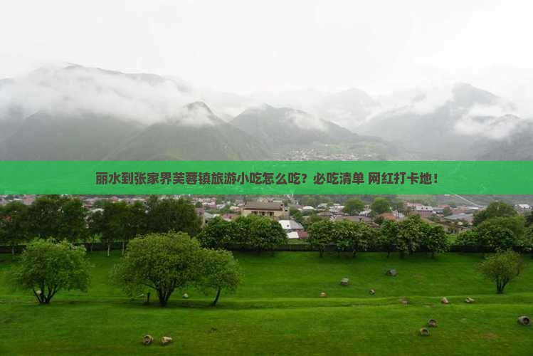 丽水到张家界芙蓉镇旅游小吃
