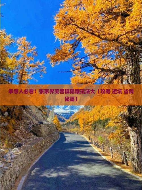 孝感到张家界芙蓉镇攻略