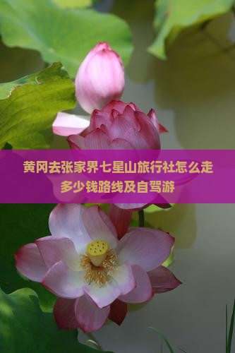 黄冈去张家界七星山旅行社