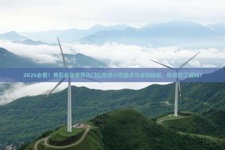 黄石去张家界天门山旅游小吃