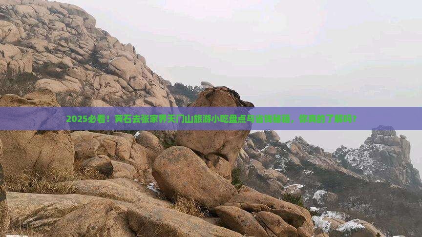 黄石去张家界天门山旅游小吃