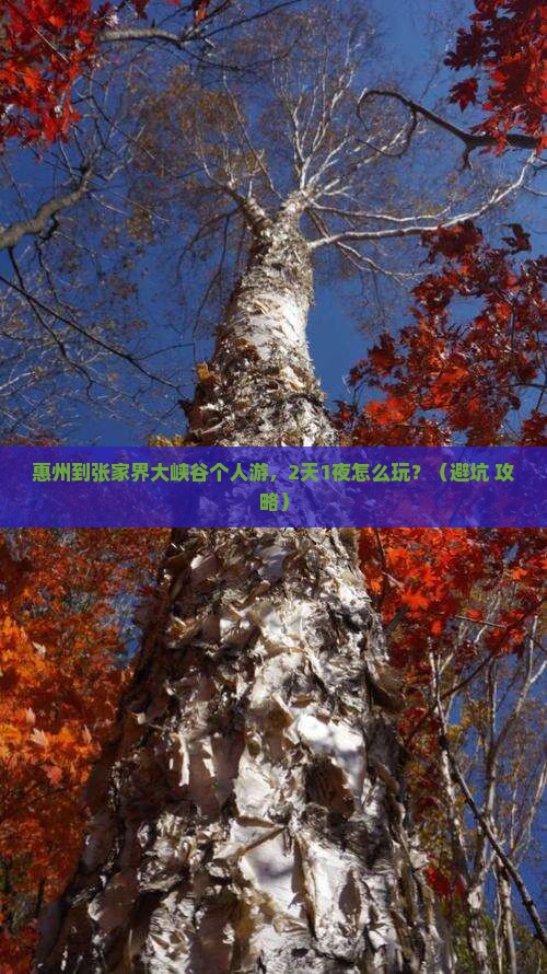 惠州到张家界大峡谷个人游