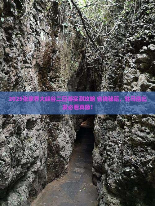 驻马店去张家界大峡谷二日游