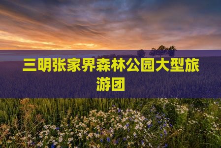 三明去张家界森林公园大型旅游团