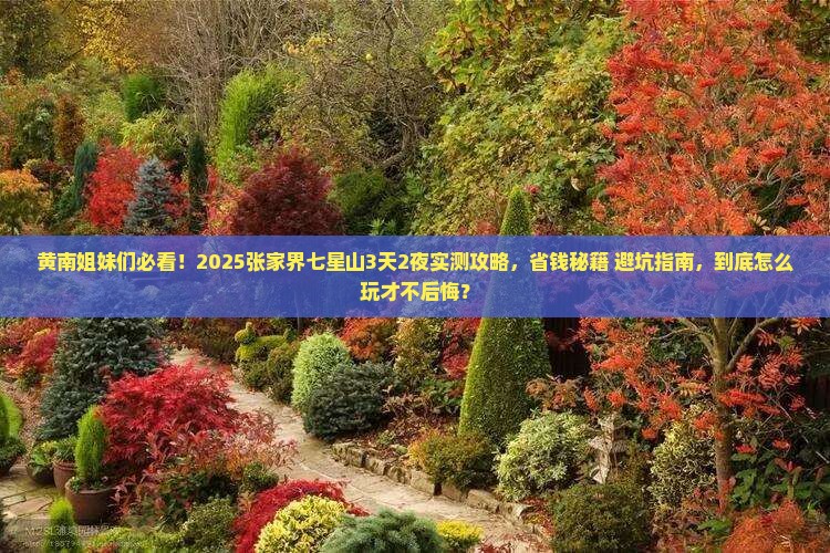 黄南去张家界七星山攻略