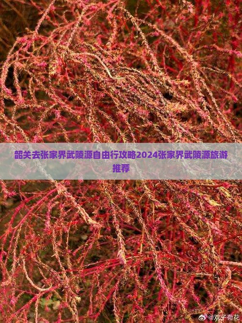 韶关去张家界武陵源自由行