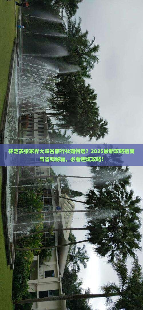 林芝去张家界大峡谷旅行社