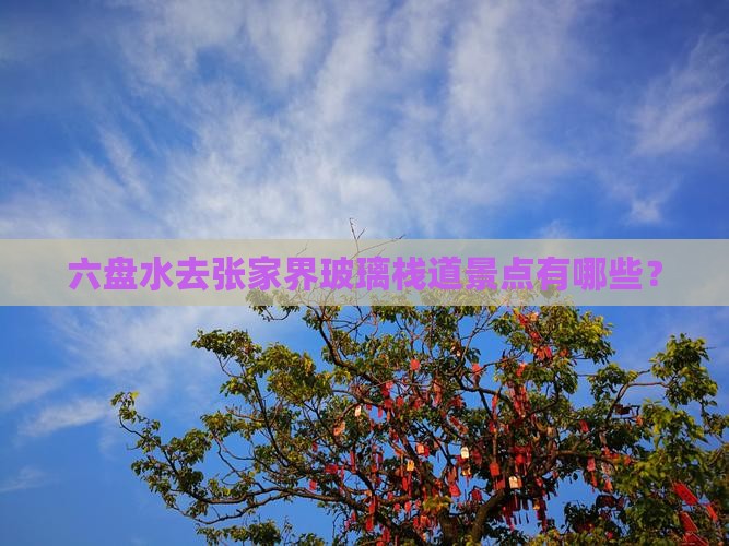 六盘水去张家界玻璃栈道景点