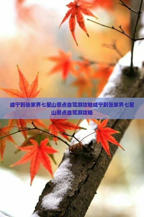 咸宁到张家界七星山景点