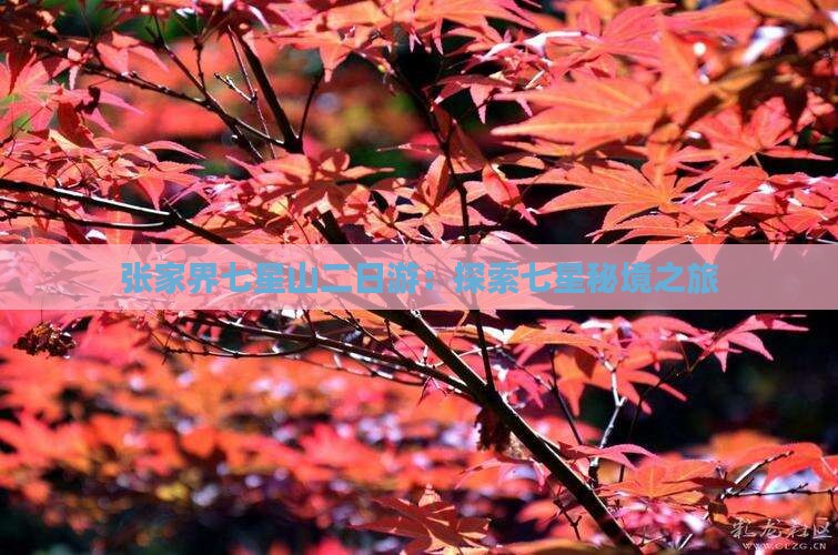 五月到张家界七星山二日游