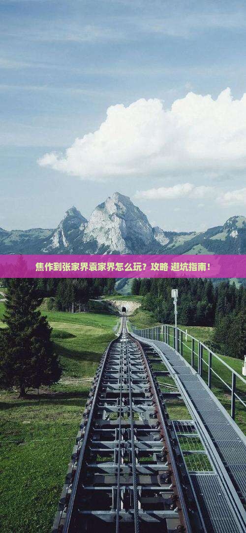 焦作到张家界袁家界哪里玩