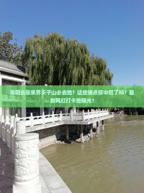 阜阳去张家界天子山必去地