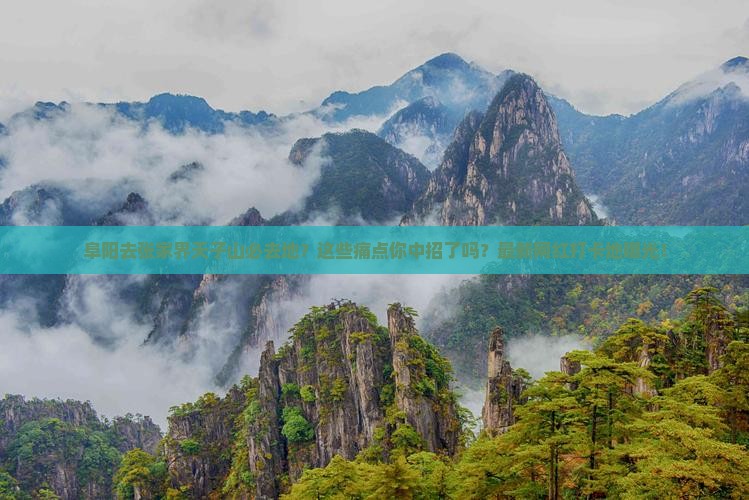 阜阳去张家界天子山必去地