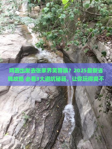 鸡西到张家界芙蓉镇旅行社