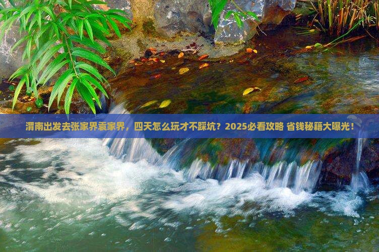 渭南到张家界袁家界四日游