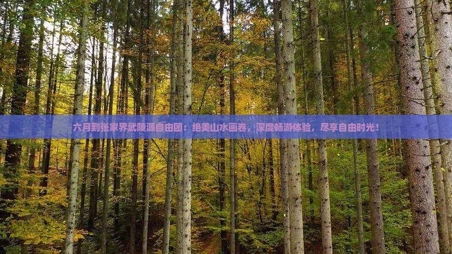 六月到张家界武陵源自由团