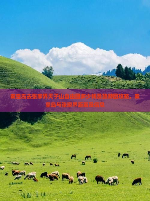 秦皇岛去张家界天子山自由团