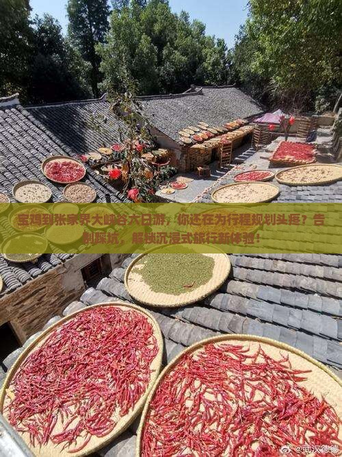 宝鸡到张家界大峡谷六日游
