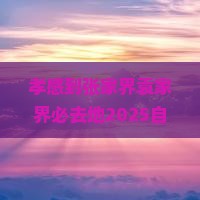 孝感到张家界袁家界必去地