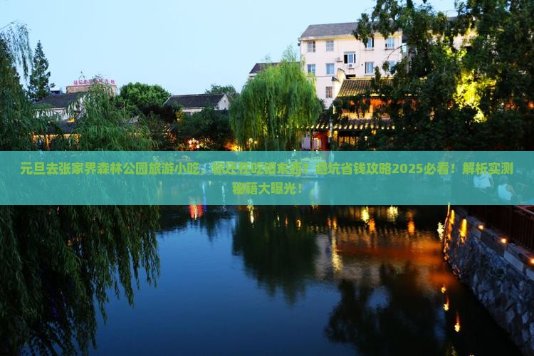 元旦去张家界森林公园旅游小吃