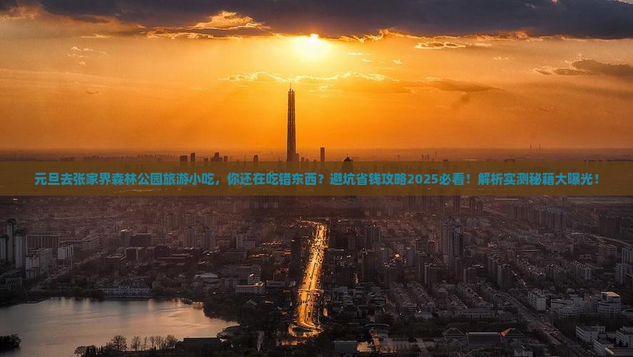 元旦去张家界森林公园旅游小吃