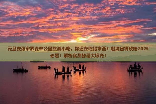 元旦去张家界森林公园旅游小吃