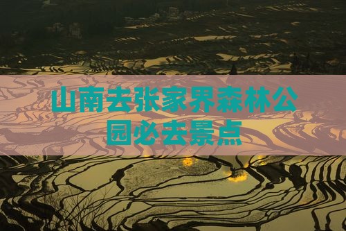 山南去张家界森林公园必去地
