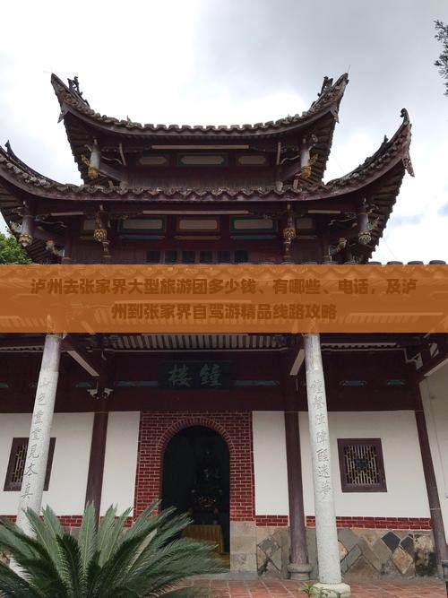 泸州去张家界大型旅游团