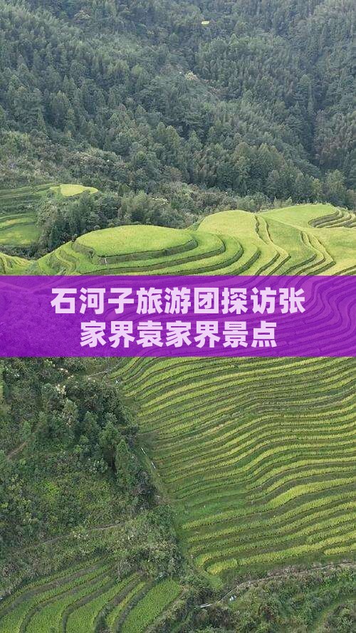 石河子去张家界袁家界大型旅游团