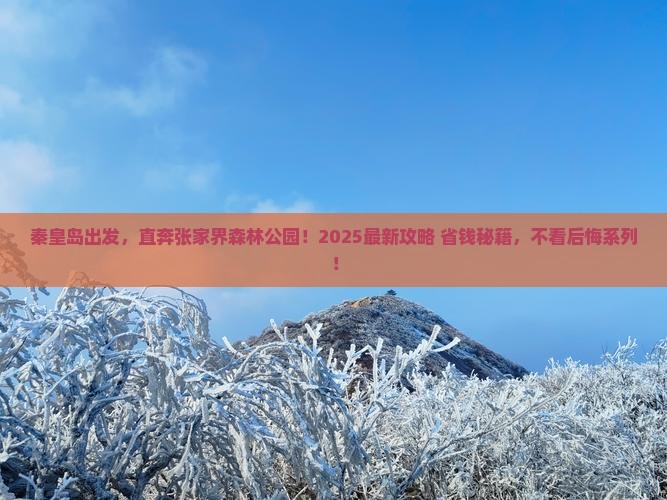 秦皇岛去张家界森林公园旅游