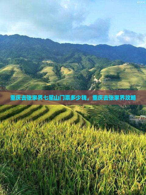 重庆去张家界七星山门票
