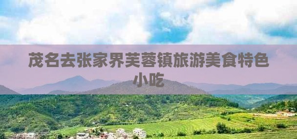 茂名去张家界芙蓉镇旅游小吃