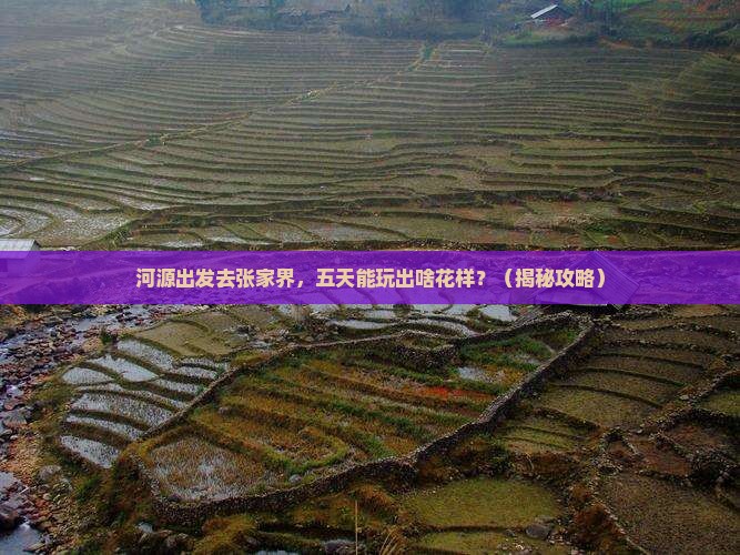 河源到张家界五日游
