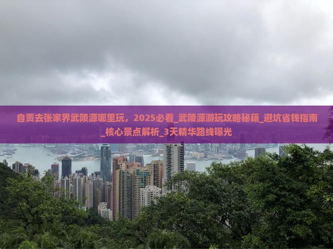 自贡去张家界武陵源哪里玩