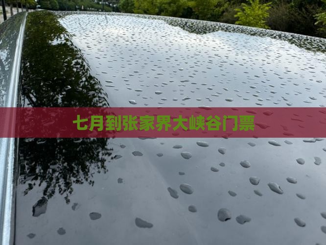 七月到张家界大峡谷门票
