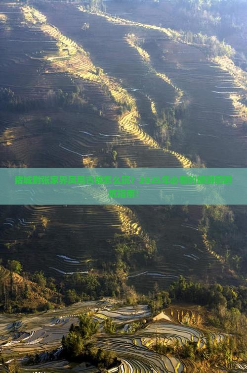 诸城到张家界凤凰古城大型旅游团