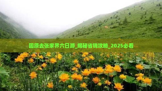 固原去张家界六日游