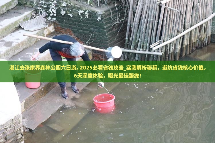 湛江去张家界森林公园六日游
