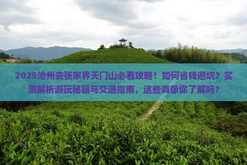 沧州去张家界天门山攻略