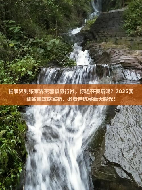 张家界到张家界芙蓉镇旅行社