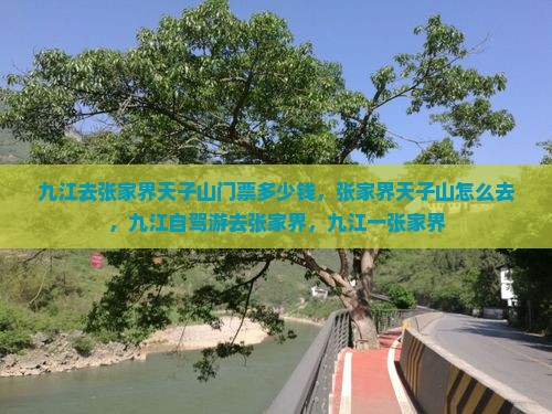 九江去张家界天子山门票